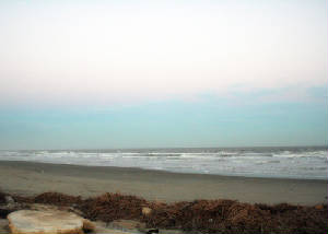 surfsidebeach.jpg